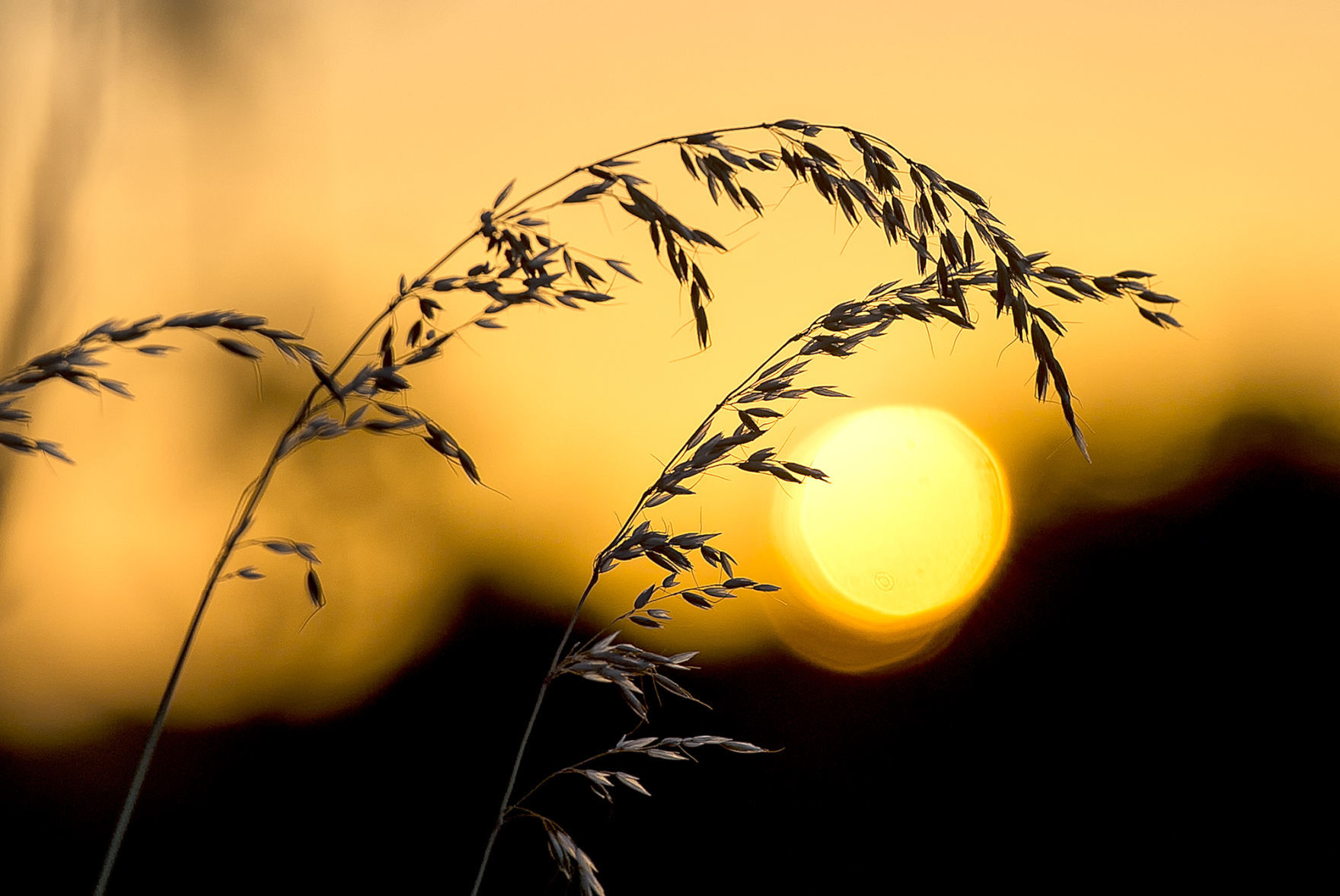 Reach for the sky